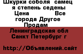 Шкурки соболя (самец) 1-я степень седены › Цена ­ 12 000 - Все города Другое » Продам   . Ленинградская обл.,Санкт-Петербург г.